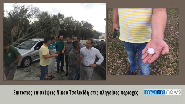 ΕΠΙΤΟΠΙΕΣ ΕΠΙΣΚΕΨΕΙΣ ΤΣΑΛΙΚΙΔΗ