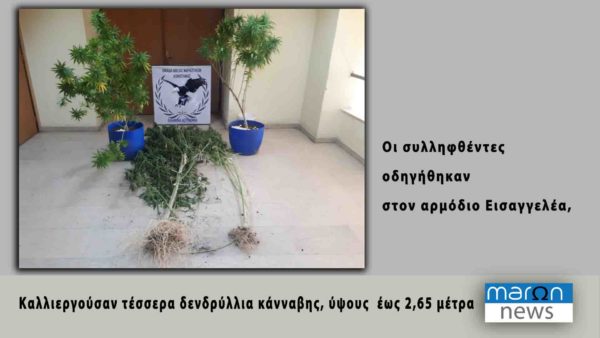 καλλιεργεια