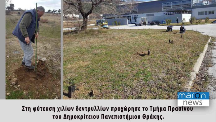 ΦΥΤΕΥΣΗ ΔΕΝΤΡΩΝ ΣΤΟ ΔΠΘ