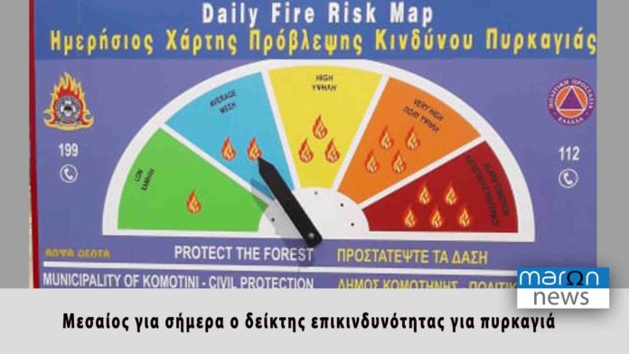 δειλκτησ επικινδυνοτητας