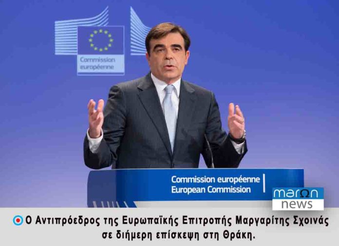 ΜΑΡΓΑΡΙΤΗΣ ΣΧΟΙΝΑΣ