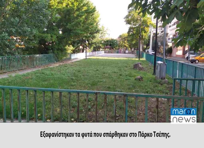 ΠΑΡΚΟ ΤΣΕΠΗΣ