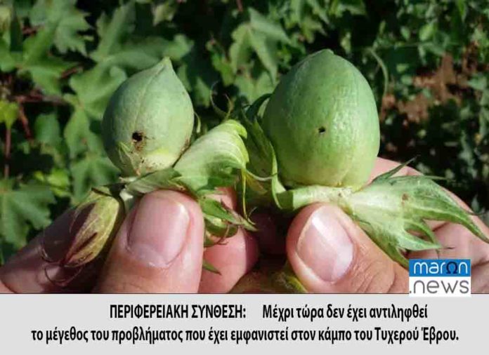 ΠΕΡΙΦΕΡΕΑΙΚΗ ΣΥΝΘΕΣΗ