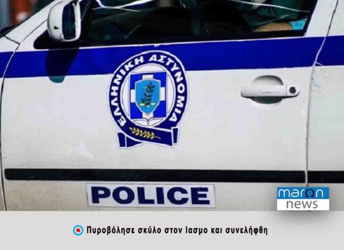 ΠΥΡΟΝΟΛΙΣΕ ΣΚΥΛΟ