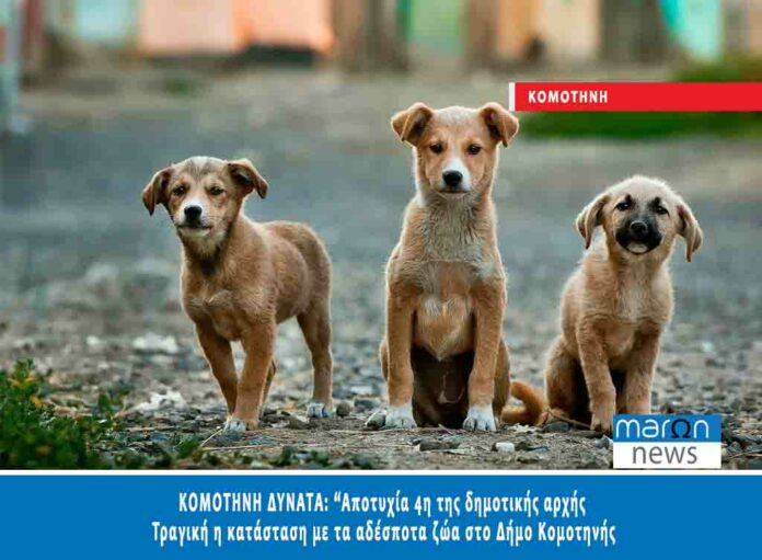 ΚΟΜΟΤΗΝΗ ΔΥΝΑΤΑ 2