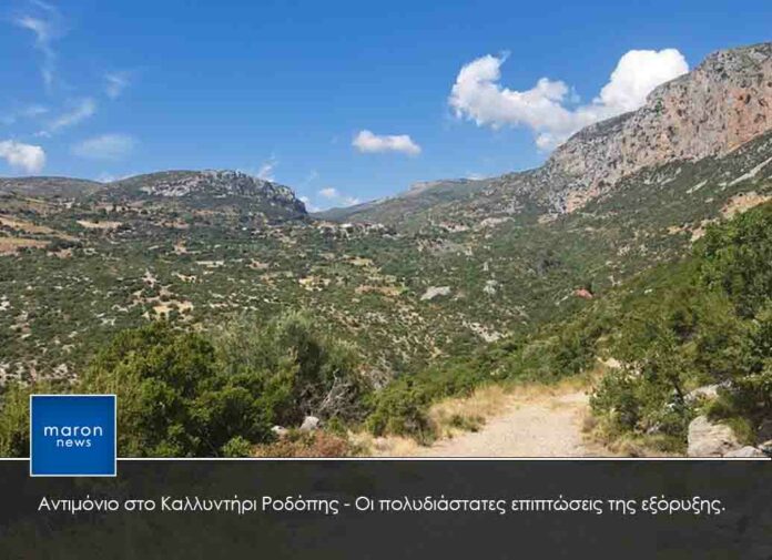 ΚΑΛΛΥΝΤΗΡΙ ΡΟΔΟΠΗΣ