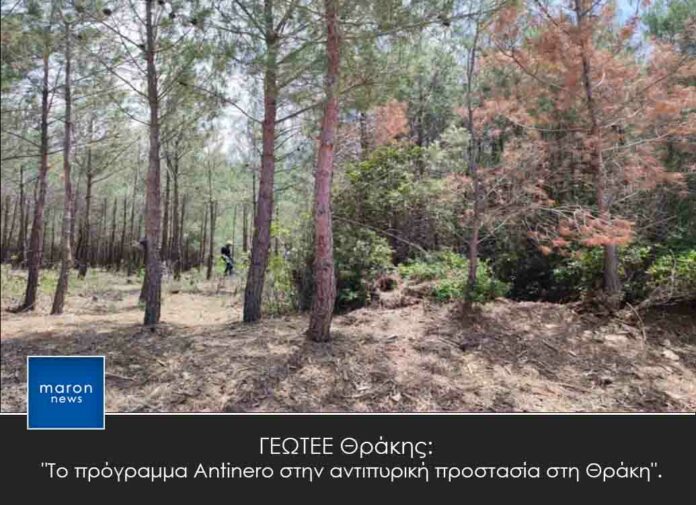 antinero