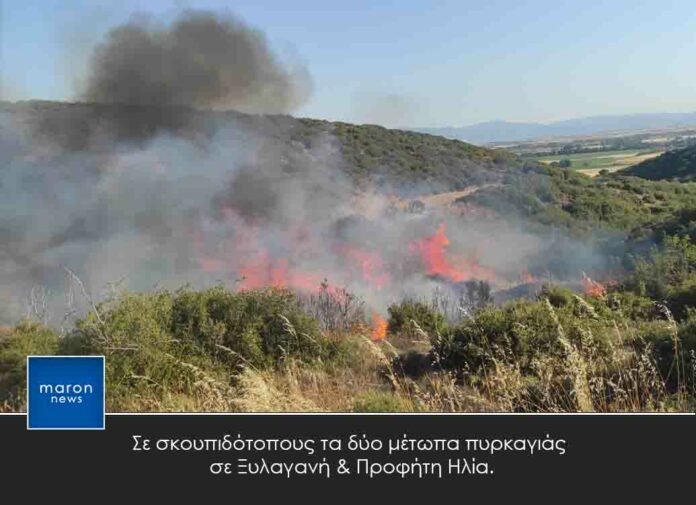 ΠΥΡΚΑΓΙΑ