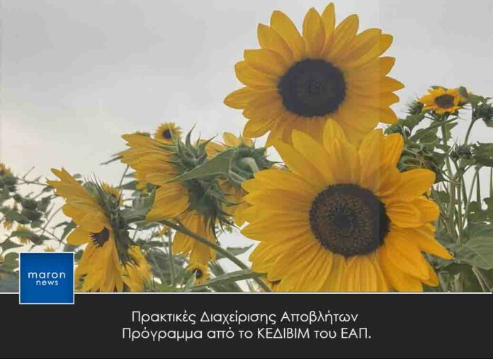 ΕΑΠ