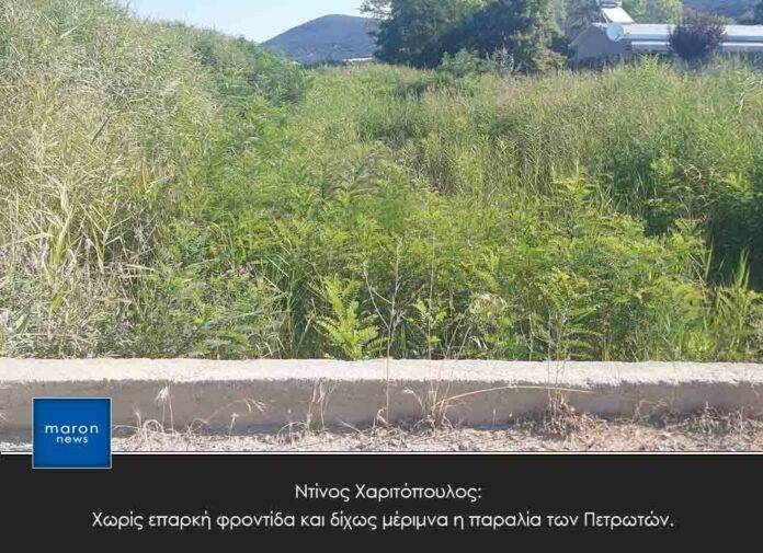 ΝΤΙΝΟΣ ΧΑΡΙΤΟΠΟΥΛΟΣ