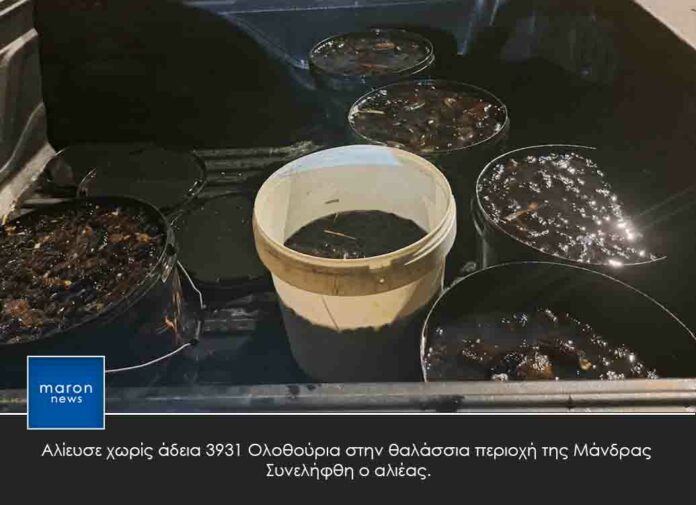 ΟΛΟΘΟΎΡΙΑ