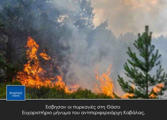 ΠΥΡΚΑΓΙΑ ΣΤΗ ΘΑΣΟ