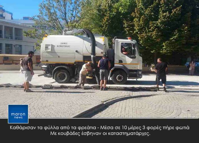 ΦΥΛΛΑ ΔΕΝΤΡΩΝ