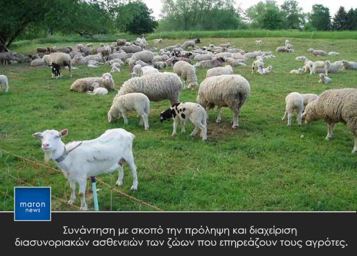 διασυνοριακες ασθενειες