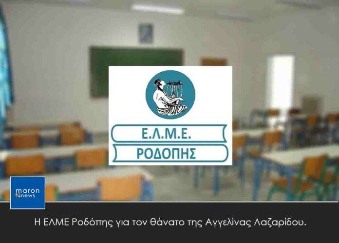 ΕΛΜΕ ΡΟΔΟΠΗΣ