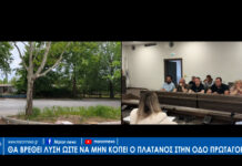 Θα προσπαθήσουν να βρούν λύση ώστε να μην κοπεί ο πλάτανος στην οδό Πρωταγόρα.