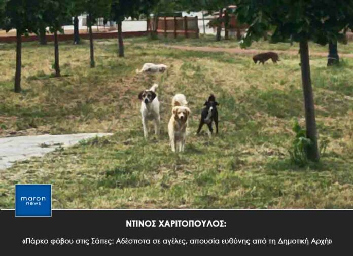ΝΤΙΝΟΣ ΧΑΡΙΤΟΠΟΥΛΟΣ