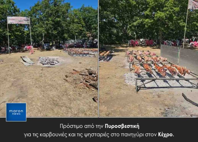 ΠΥΡΟΣΒΕΣΤΙΚΗ