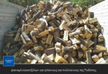 Διανομή καυσοξύλων για τρίτεκνους και πολύτεκνους της Ροδόπης.