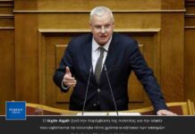 Ιλχάν Αχμέτ: Άδικος αποκλεισμός των οικισμών Σαλμώνης, Βέννας και Μιράνων Ροδόπης από τη διάθεση καυσόξυλων για ατομικές ανάγκες